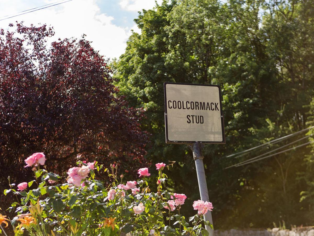 Coolcormack Stud B&B 邓加文 外观 照片